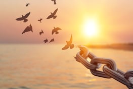 The-Top-Reasons-for-Why-Self-Employment-is-Rising-Globally