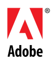 WSI is partnered with Adobe