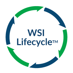 Why-WSI-Icons-Lifecycle