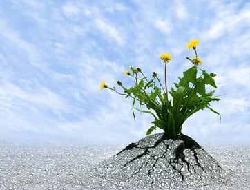 A Resilient Entrepreneur is a Successful Businessman: Why Is It So?